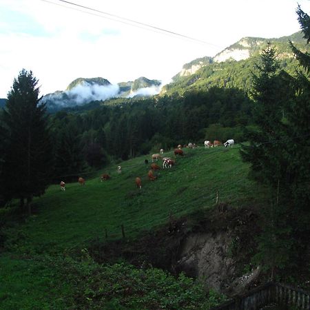 Holiday Home Bela Bohinjska Bela Exteriér fotografie